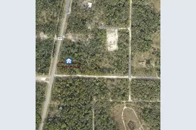 7430 Treiman Boulevard, Webster, FL 33597 - Photo 8