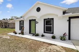 307 Plumtree Ave, Spring Hill, FL 34606 - Photo 4