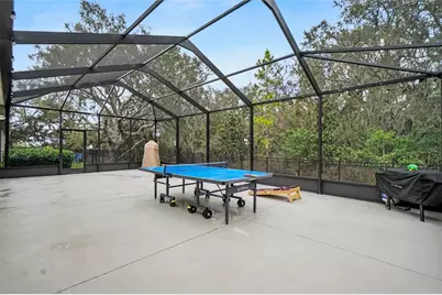 11406 Blue Woods Drive, Riverview, FL 33569 - Photo 8