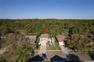12927 Royal George Ave, Odessa, FL 33556 - Photo 30