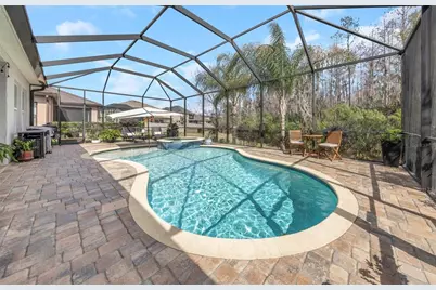 29494 Picana Lane, Wesley Chapel, FL 33543 - Photo 50