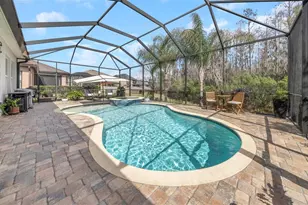 29494 Picana Ln, Wesley Chapel, FL 33543 - Photo 50