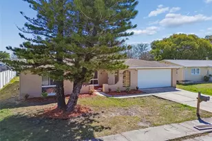 10110 Brandywine Ln, Port Richey, FL 34668 - Photo 54