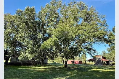 1353 Cr 738E, Webster, FL 33597 - Photo 6