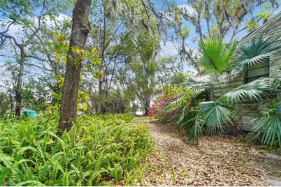 18709 Wayne Road, Odessa, FL 33556 - Photo 24