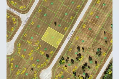 12799 Filefish Court, Placida, FL 33946 - Photo 2