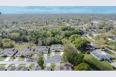 1194 Royal Boulevard, Palm Harbor, FL 34684 - Photo 46