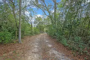 13021 Kite Rd, Weeki Wachee, FL 34614 - Photo 74