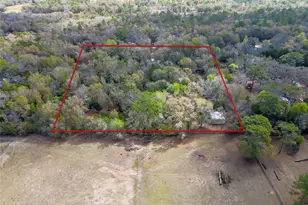 13021 Kite Rd, Weeki Wachee, FL 34614 - Photo 92