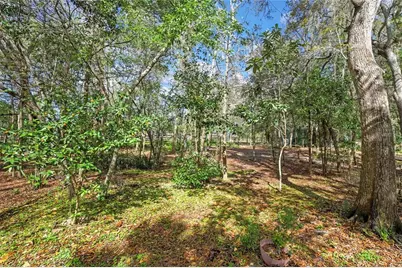 13021 Kite Road, Weeki Wachee, FL 34614 - Photo 60