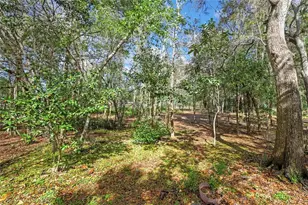 13021 Kite Rd, Weeki Wachee, FL 34614 - Photo 60