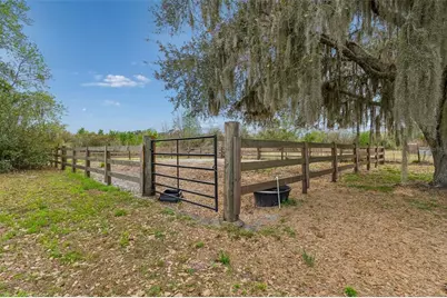 5614 Pless Road, Plant City, FL 33565 - Photo 64