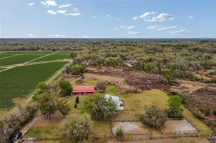 5614 Pless Rd, Plant City, FL 33565 - Photo 96
