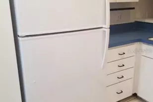 2512 W Texas Ave, Tampa, FL 33629 - Photo 6