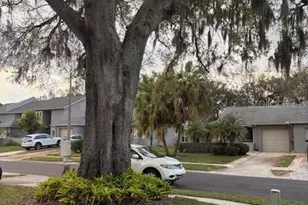 159 Hunter Ct, Palm Harbor, FL 34684 - Photo 48