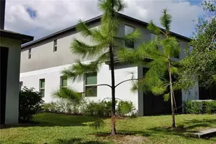 11871 Dumaine Valley Rd, Riverview, FL 33579 - Photo 6