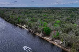 2878 NE 340 Hwy, Branford, FL 32008 - Photo 4