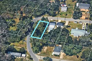 Unassigned, Lake Panasoffkee, FL 33538 - Photo 1