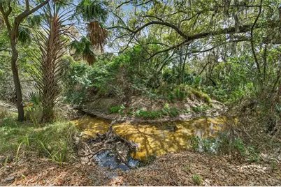 9824 Hound Chase Drive, Gibsonton, FL 33534 - Photo 66