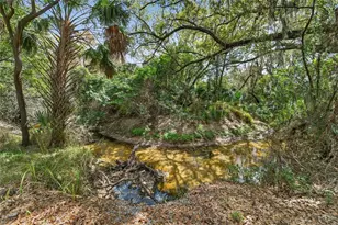 9824 Hound Chase Dr, Gibsonton, FL 33534 - Photo 66