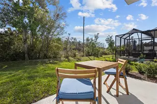 17240 Balance Cv, Land O Lakes, FL 34638 - Photo 8