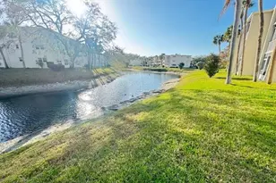 946 Virginia St, Dunedin, FL 34698 - Photo 18