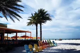 946 Virginia St, Dunedin, FL 34698 - Photo 60