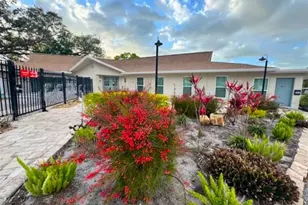 946 Virginia St, Dunedin, FL 34698 - Photo 28