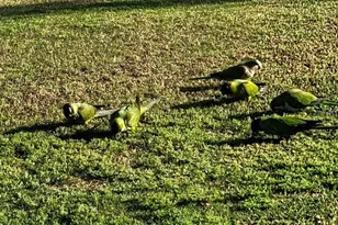 1100 Belcher Road S, Largo, FL 33771 - Photo 42