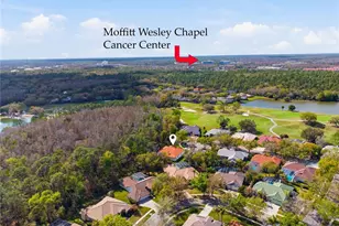 17701 Grey Eagle Rd, Tampa, FL 33647 - Photo 54