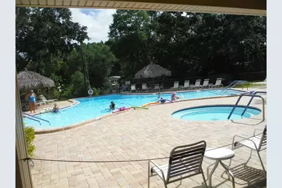 38 Deer Trail Court #49, Safety Harbor, FL 34695 - Photo 34