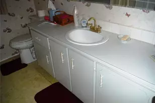 38 Deer Trail Ct, Safety Harbor, FL 34695 - Photo 14