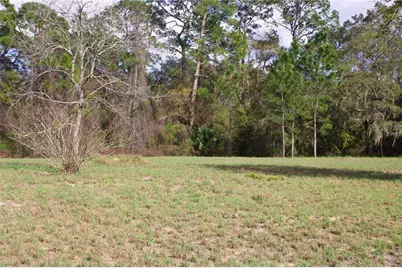 Silent Ridge Drive #47, Tavares, FL 32778 - Photo 10