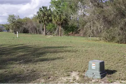 Silent Ridge Drive #47, Tavares, FL 32778 - Photo 32