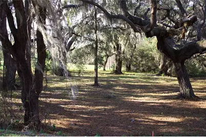 Silent Ridge Drive #47, Tavares, FL 32778 - Photo 24