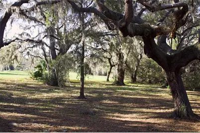 Silent Ridge Drive #47, Tavares, FL 32778 - Photo 26