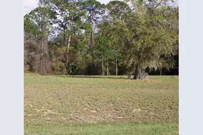 Silent Ridge Drive #47, Tavares, FL 32778 - Photo 6