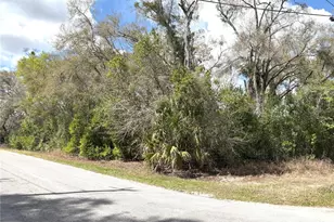 21249 Durden Rd, Dade City, FL 33523 - Photo 26