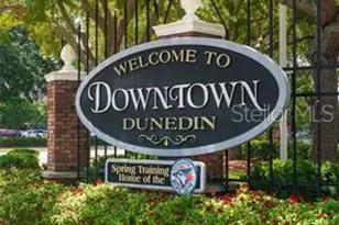 1363 Overlea Dr, Dunedin, FL 34698 - Photo 50