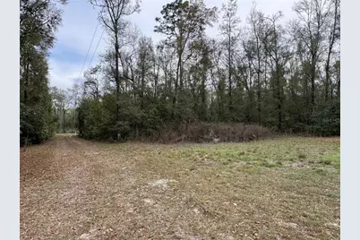 4317 284th Street, Branford, FL 32008 - Photo 16