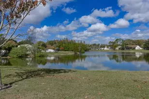 2104 Haydon Ct, Brandon, FL 33511 - Photo 60