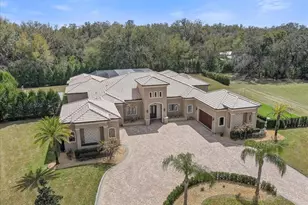 2620 Tylers Riv Run, Lutz, FL 33559 - Photo 6