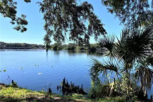 7150 E Bank Dr, Tampa, FL 33617 - Photo 14