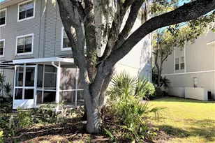 7150 E Bank Dr, Tampa, FL 33617 - Photo 14