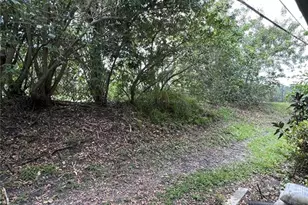 1217 N McMullen Booth Rd, Clearwater, FL 33759 - Photo 36