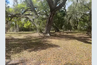Sr 471, Webster, FL 33597 - Photo 6