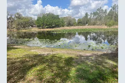 Sr 471, Webster, FL 33597 - Photo 2