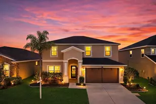 8105 Rothbury Hills Pl, Gibsonton, FL 33534 - Photo 1