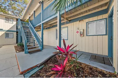1113 Ohio Avenue, Dunedin, FL 34698 - Photo 8
