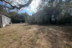 13535 Grandville Ave, Hudson, FL 34669 - Photo 8